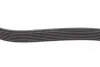 Ремінь генератора Renault Megane 1.9dCi/2.0 03- (7PK1127) HUTCHINSON 1127 K 7 (фото 3)