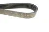 Ремінь генератора Citroen Berlingo/Fiat Ducato 1.8/1.9D /Citroen Jumper 3.0HDI 96- (6PK1160) HUTCHINSON 1160 K 6 (фото 4)