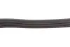 Ремінь генератора Fiat Doblo 1.3D Multijet/Ducato 2.0JTD 01-/VW Caddy 1.4/1.6 96- (6PK1180) HUTCHINSON 1180 K 6 (фото 3)
