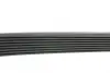 Ремінь генератора Mazda 2.0 MZR 07-10 HUTCHINSON 1230 K 8 (фото 2)