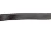 Ремінь генератора Citroen Berlingo/Jumpy/Peugeot Expert/Partner 1.6HDI (6PK1355) HUTCHINSON 1355 K 6 (фото 3)