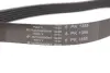 Ремінь генератора Citroen Berlingo/Jumpy/Peugeot Expert/Partner 1.6HDI (6PK1355) HUTCHINSON 1355 K 6 (фото 4)