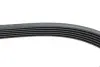 Ремінь генератора VW LT 2.8TDI 96KW/Ford Transit 2.0DI 00-14 (6PK1637) HUTCHINSON 1637 K 6 (фото 4)