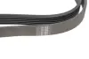 Ремінь генератора VW LT 2.8TDI 96KW/Ford Transit 2.0DI 00- (6PK1640) HUTCHINSON 1640 K 6 (фото 4)