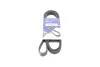 Ремінь генератора Renault Megane I/Ford Transit 2.0 94-00 (6PK1650) HUTCHINSON 1650 K 6 (фото 1)