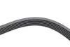 Ремінь генератора Renault Megane I/Ford Transit 2.0 94-00 (6PK1650) HUTCHINSON 1650 K 6 (фото 4)