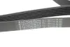 Ремінь генератора Citroen Berlingo 1.9D/ VW LT 2.8TDI 116KW (6PK1682) HUTCHINSON 1682 K 6 (фото 2)