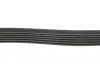 Ремінь генератора Citroen Berlingo 1.9D/ VW LT 2.8TDI 116KW (6PK1682) HUTCHINSON 1682 K 6 (фото 3)