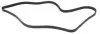 Ремінь генератора Ford Connect 1.8TDCi 06-14/Citroen C5 2.0HDi 00- (6PK1745) HUTCHINSON 1745 K 6 (фото 2)
