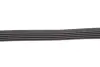 Ремінь генератора Renault Kangoo 1.4/1.6i, 97- (5PK1750) HUTCHINSON 1750 K 5 (фото 3)