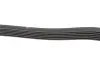 Ремінь генератора MB W202/210 M111/Ford Transit 2.301-06 (6PK1775) HUTCHINSON 1775 K 6 (фото 3)