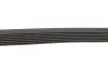 Ремінь генератора MB Sprinter 3.0CDI OM642 (7PK2035) HUTCHINSON 2035 K 7 (фото 4)