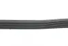 Ремінь генератора Honda Accord VIII 2.0 I 08-/ Land Rover Range Rover II 3.9-4.6 94-02 HUTCHINSON 2080 K 7 (фото 2)