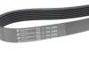 Ремінь генератора Honda Accord 2.2 i-CDTi 04-08 (7PK2264) HUTCHINSON 2264 K 7 (фото 3)