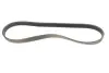 Ремінь генератора BMW 3 (E46)/X5 (E53)/5 (E39) 2.5D/3.0D 98-06 (5PK810) HUTCHINSON 810 K 5 (фото 1)