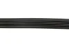 Ремінь генератора Fiat Scudo 1.6/Renault Kangoo 1.9D 97- (6PK894) HUTCHINSON 894 K 6 (фото 3)