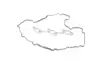 Прокладка KIA Hyundai/Kia/Mobis 224533C710 (фото 1)