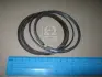 Кільця поршневі std (вир-во Mobis) Hyundai/Kia/Mobis 2304023400 (фото 1)