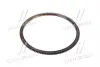 Вінець маховика HYUNDAI / KIA Hyundai/Kia/Mobis 232124A000 (фото 1)