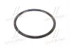 Вінець маховика HYUNDAI / KIA Hyundai/Kia/Mobis 232124A000 (фото 4)
