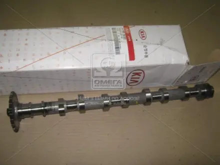 Распредвал KIA Hyundai/Kia/Mobis 241002A101
