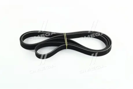 Ремень привода навесного оборудования KIA Hyundai/Kia/Mobis 252122B000