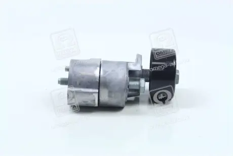 Ролик натягу загального ременя HYUNDAI / KIA Hyundai/Kia/Mobis 2528125000