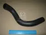 Патрубок радіатора охолодження KIA Hyundai/Kia/Mobis 254122F800 (фото 1)