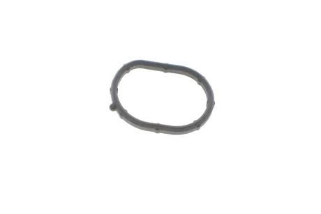 Прокладка термостата Hyundai ix35/Santa Fe/Kia Sorento 2.4 09- HYUNDAI Hyundai/Kia/Mobis 256422G500
