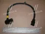 Датчик HYUNDAI Hyundai/Kia/Mobis 391804A061 (фото 1)