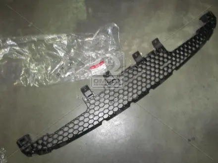 Решітка бампера HYUNDAI Hyundai/Kia/Mobis 865602P000