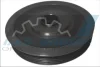 Шків колінвалу Citroen С3/С4/С5/Peugeot 206/307/407 1.4/1.6HDI 04-/Ford Focus 1.6TDCi 03-12 (6PK) IJS GROUP 17-1020 (фото 1)