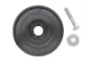 Шків колінвала + шків генератора Citroen Berlingo/Jumpy/Peugeot Expert 1.9D/2.0HDI 98-(6PK) (з болтами))) IJS GROUP 17-1085SET (фото 1)
