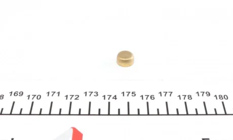 Заглушка блоку циліндрів (d=10mm) Латунь/Brass IMPERGOM 40940