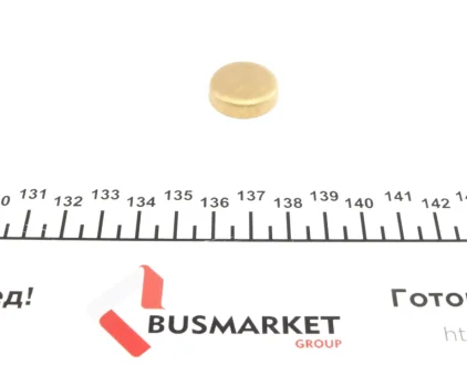 Заглушка блока цилиндров (d=21mm) Латунь/Brass IMPERGOM 40954