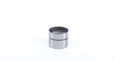Гідрокомпенсатор INA 420 0062 10