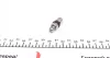 Гідрокомпенсатор VW T5/Golf/Passat 2.3-3.2 99- (12mm), BDL/BKK/CFLA INA 420 0172 10 (фото 4)
