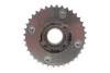Шестерня розподільного валу BMW 3 (F30/F80)/5 (G30/F90)/7 (G11/G12) 15-20 (впуск) B38/B46/B48/B58 INA 427 1125 10 (фото 4)