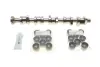 Комплект розподільчого валу VW T5 2.5 TDI 03-09, 96/120/128kw, (BNZ,AXD,BPC,AXE,BLJ) INA 428 0040 30 (фото 1)