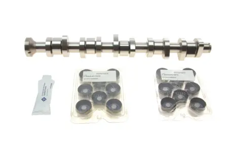 Комплект розподільчого валу VW T5 2.5 TDI 03-09, 96/120/128kw, (BNZ,AXD,BPC,AXE,BLJ) INA 428 0040 30