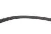 Комплект ременя генератора Renault Megane/Scenic 00-09, (5PK1750) INA 529 0082 10 (фото 9)