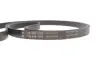 Комплект ременя генератора Renault Megane/Scenic 00-09, (5PK1750) INA 529 0082 10 (фото 10)