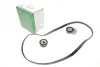 Комплект ременя генератора Citroen Berlingo/Peugeot Partner 2.0HDI 99-11 (6PK1740) INA 529 0092 10 529 0092 10