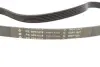 Комплект ременя генератора Audi A2/Seat Ibiza/Skoda Fabia/VW Golf/Polo 1.4/1.6/1.6FSI 97- (6PK 1078) INA 529 0103 10 (фото 2)