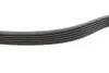 Комплект ременя генератора Audi A2/Seat Ibiza/Skoda Fabia/VW Golf/Polo 1.4/1.6/1.6FSI 97- (6PK 1078) INA 529 0103 10 (фото 3)