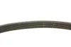 Комплект ременя генератора VW Golf 1.2/1.4TSI 12-/Skoda Octavia 1.2-1.6 12- (6PK1003) INA 529 0159 20 (фото 4)