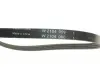 Комплект ремня генератора Renault Kangoo 1.2 97- (4PK 905) INA 529 0174 10 (фото 3)