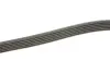 Комплект ременя генератора VW Caddy IV 1.6 15-20 (6PK1003) INA 529 0208 10 (фото 3)