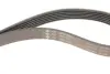 Комплект ременя генератора VW Caddy IV 1.6 15-20 (6PK1003) INA 529 0208 10 (фото 5)