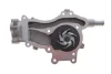 Комплект ременя генератора + помпа Opel Astra J/Corsa D 09-15 (5PK1335) INA 529 0295 30 (фото 4)